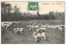 94 - ORMESSON - Les Prés De César - Moutons - Ormesson Sur Marne