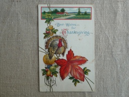 Best Wishes For Thanhsgiving Embossed Landscape Music Grape Of Fruits Providence 1913 SB 622. Voir Photos. - Giorno Del Ringraziamento