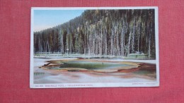 - Wyoming> Yellowstone  Park   Emerald Pool     ---- 2103 - Yellowstone