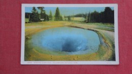 - Wyoming> Yellowstone  Park    Morning Glory Pool   - 2103 - Yellowstone