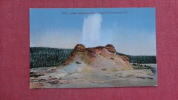 - Wyoming> Yellowstone  Park    Castle Geyser In Action    - 2103 - Yellowstone