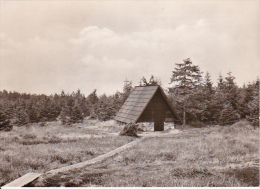 AK Moorhäusel Im Naturschutzgebiet Hochmoor Bei Zinnwald-Georgenfeld I. Erzgebirge (20219) - Altenberg