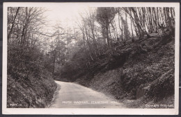 GREAT BRITAIN , ENGLAND , MUCH  HADHAM, OLD POSTCARD - Hertfordshire