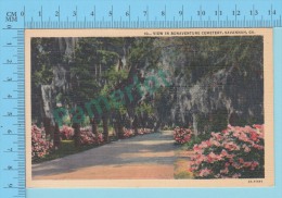 USA Savannah ( Bonaventure Cemetery At Savannah ) Linen Postcard CPSM 2 Scans - Savannah