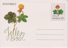 Norway Postal Stationery 1980 Julen Christmas - Cloudberry ** - Interi Postali