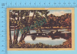 USA Connecticut ( Duck Pond Edgewood Park New Haven Cover Hartford 1951 ) Linen Postcard CPSM 2 Scans - New Haven