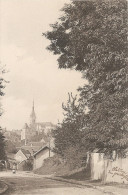 Loiret - 45 - Chatillon Sur Loire Route De Beaulieu 1907 - Chatillon Sur Loire