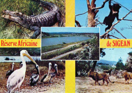 CPM  Sigean Reserve Africaine - Sigean