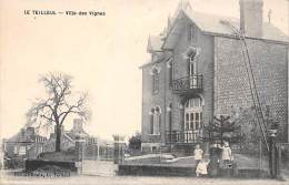 Le Teilleul      50     Villa Des Vignes -  Echelle De Couvreur - Otros & Sin Clasificación