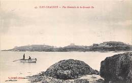 Iles Chausey   50      Vue Générale De La Grande Ile - Otros & Sin Clasificación