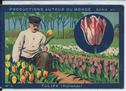 Hollande Nederland Tulipe Tulip Chromo Pub: Joseph-Milliat Production 76 X 50 Mm Bien Rare 1930's - Au Bon Marché