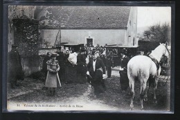 RAMBOUILLET CHASSE A COURRE - Rambouillet