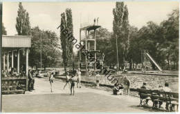 Zeitz - Sommerbad - Foto-Ansichtskarte - Verlag Volkskunstverlag Reichenbach - Zeitz