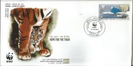 WWF 2011, Special Cover Special Cover Kalindi -Tiger Animal Wild Life Mammals WWF, Wildlife Conservation - Lettres & Documents