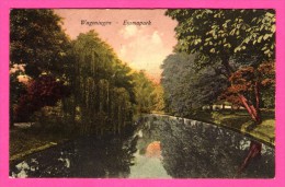 Wageningen - Emmapark - FIRMA VERMEER - 1951 - Colorisée - Wageningen