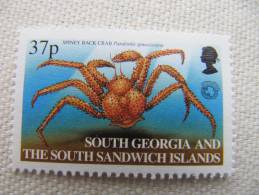 3-809 Polar Polaire Mer Océan Antarctic Antarctique South Pole Sud Crab Crabe Araignée Spiney - Arañas