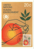 ONU - NAZIONI UNITE - UNITED NATIONS - NATIONS UNIES - 1982 - Human Environment - Carte Maximum - New York - FDC - Maximumkaarten