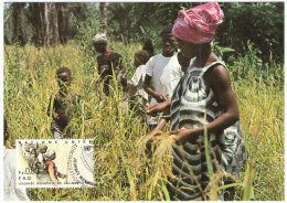 ONU - NAZIONI UNITE - UNITED NATIONS - NATIONS UNIES - 1984 - FAO-Journée Mondiale De L'alimentation - Carte Maximum ... - Maximumkarten