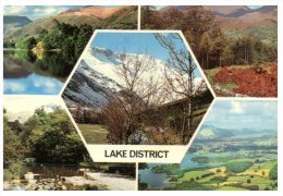 (PH 409) LAke District And Trees - Arbres