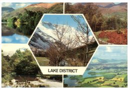 (PH 409) LAke District And Trees - Árboles