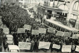 Trieste - Manifestazione E Sciopero CRDA 1953. FOTO, NON CARTOLINA - Trieste