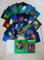 Post Cards In Folder From Ussr 24 Cards 1984 1st Issue Cactusses Cactus Cactos - Cactussen