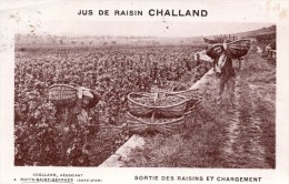 Delcampe - 21 - NUITS SAINT GEORGES  Jus De Raisin Challand Sortie Des Raisins Et Chargement - Nuits Saint Georges