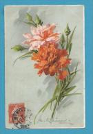 CPA Série 114 Fantaisie Fleurs Oeillets Illustrateurs Catharina KLEIN - Klein, Catharina