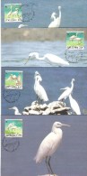 MAXIMAS  SINGAPORE  WWF - Flamants