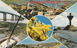 NOIRMOUTIER MULTIVUES (dil87) - Noirmoutier