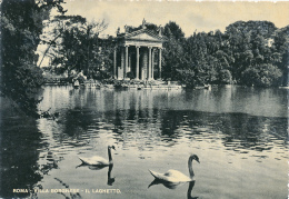 ITALIE, ROMA, ROME : Villa Borghese, Il Laghetto, Le Petit Lac (non Circulée) - Parks & Gardens