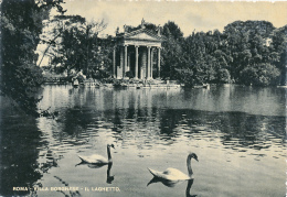 ITALIE, ROMA, ROME : Villa Borghese, Il Laghetto, Le Petit Lac (non Circulée) - Parchi & Giardini