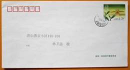 2008 CHINA PF-217 ANXI TEA P-COVER - Sobres