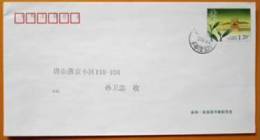 2008 CHINA PF-217 ANXI TEA P-COVER - Briefe