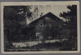 Dreistätten (Dreistetten)  1930y. Pension GRETIHUTTE   B142 - Wiener Neustadt