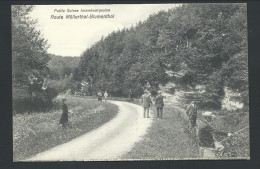 CPA -  Luxembourg - Route MULLERTHAL - BLUMENTHAL - Pêcheur - Bellwald N° 277  // - Muellerthal