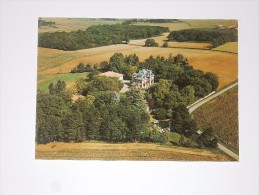 Carte Postale Ancienne : RISCLE : Vue Aérienne Chateau " Les Charmettes" - Riscle