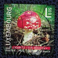 Luxembourg 2013 Oblitéré Rond Used Champignon Amanite Tue Mouche - Used Stamps