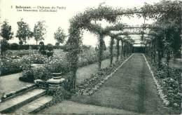 BELLECOURT - Château Du Pachy - Les Roseraies (Collection) - Manage