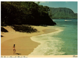 (PF 632) USA - Hawaii Kauai Beach - Kauai