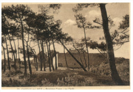 (DEL 716) Very Old Postcard - WWI Era - France - Cayeux Pin Forest - Árboles
