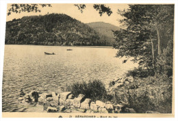 (DEL 716) Very Old Postcard - WWI Era - France - Gerardmer Bord Du Lac - Alberi