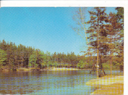 PK-CP Deutschland - ("DDR"), Waldsee, Ungebraucht, Siehe Bilder!*) - Zu Identifizieren