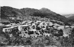 CPSM - La GARDE-FREINET (83) - Vue Sur Un Quartier De Bourg Dans Les Années 50/60 - La Garde Freinet