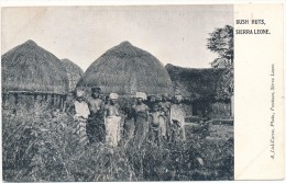 SIERRA LEONE - Bush Huts - Sierra Leone