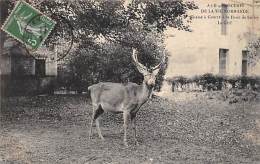 Cerisy La Forêt    50      Chasse A Courre:  Le Cerf - Other & Unclassified