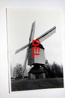 Geel Molen - Photo Originale Des Années 1960-1970 - Geel