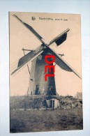 Baarle-hertog   Molen - - Baarle-Hertog