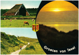 Nederland/Holland, Texel, Groeten Van Texel, 3-luik, 1976 - Texel