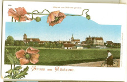 Gruss Aus GÜSTROW Gesamtansicht Jugendstil Mohnblumen Radfahrer In Um 1905 Ungelaufen Ungeteilte Rückseite - Güstrow